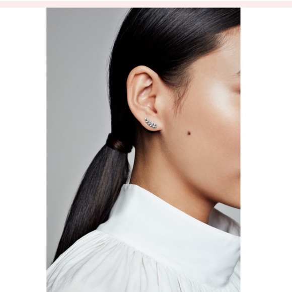 Pandora Jewelry - Pandora Grain Leaf Studs Pandora Jewelry - Pandora Grain Leaf Studs